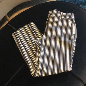 NWOT_ Express Columnist Pants